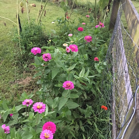 Meet your Posher, Janet - Picture 14 of 16